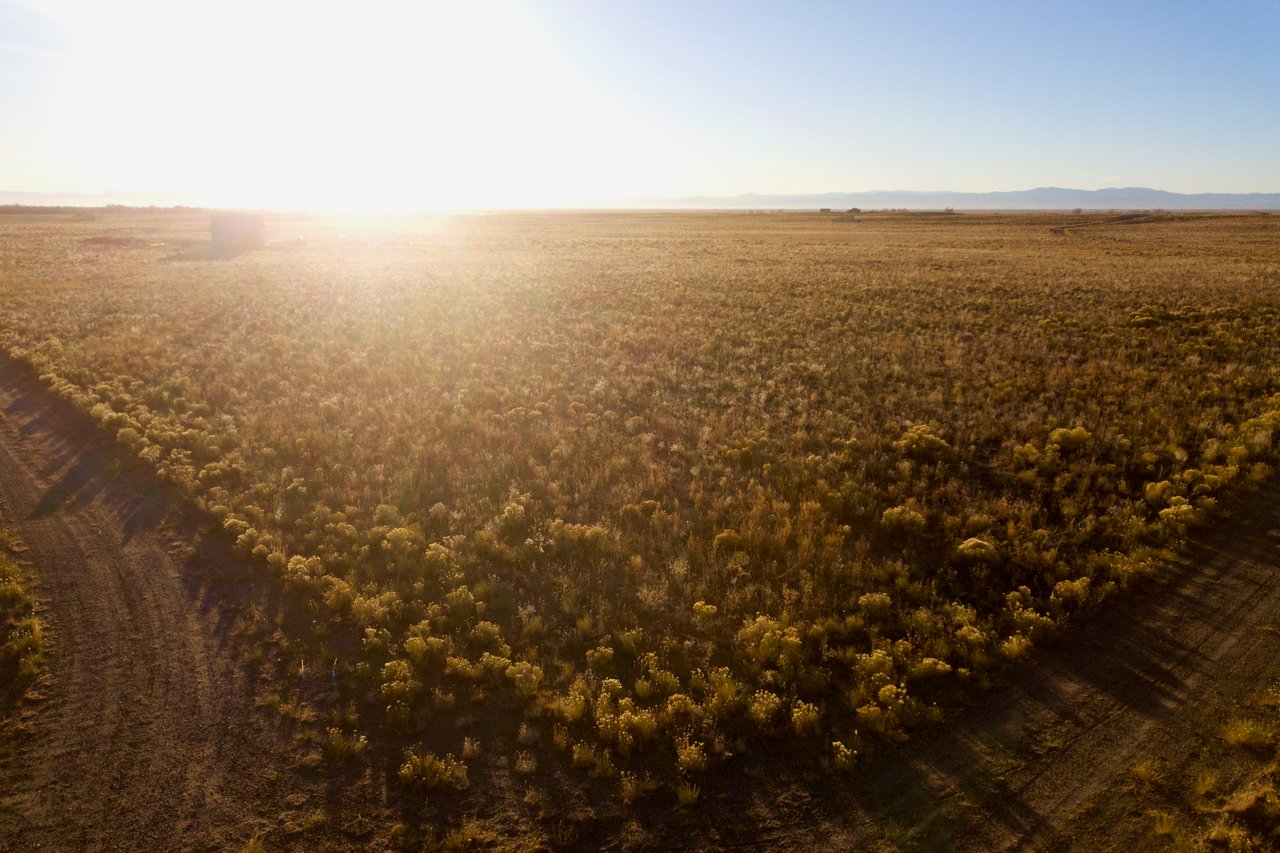 Pine Cone Road Homesites