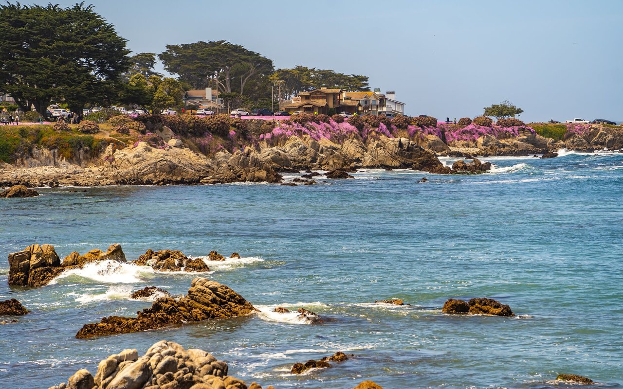 South Point