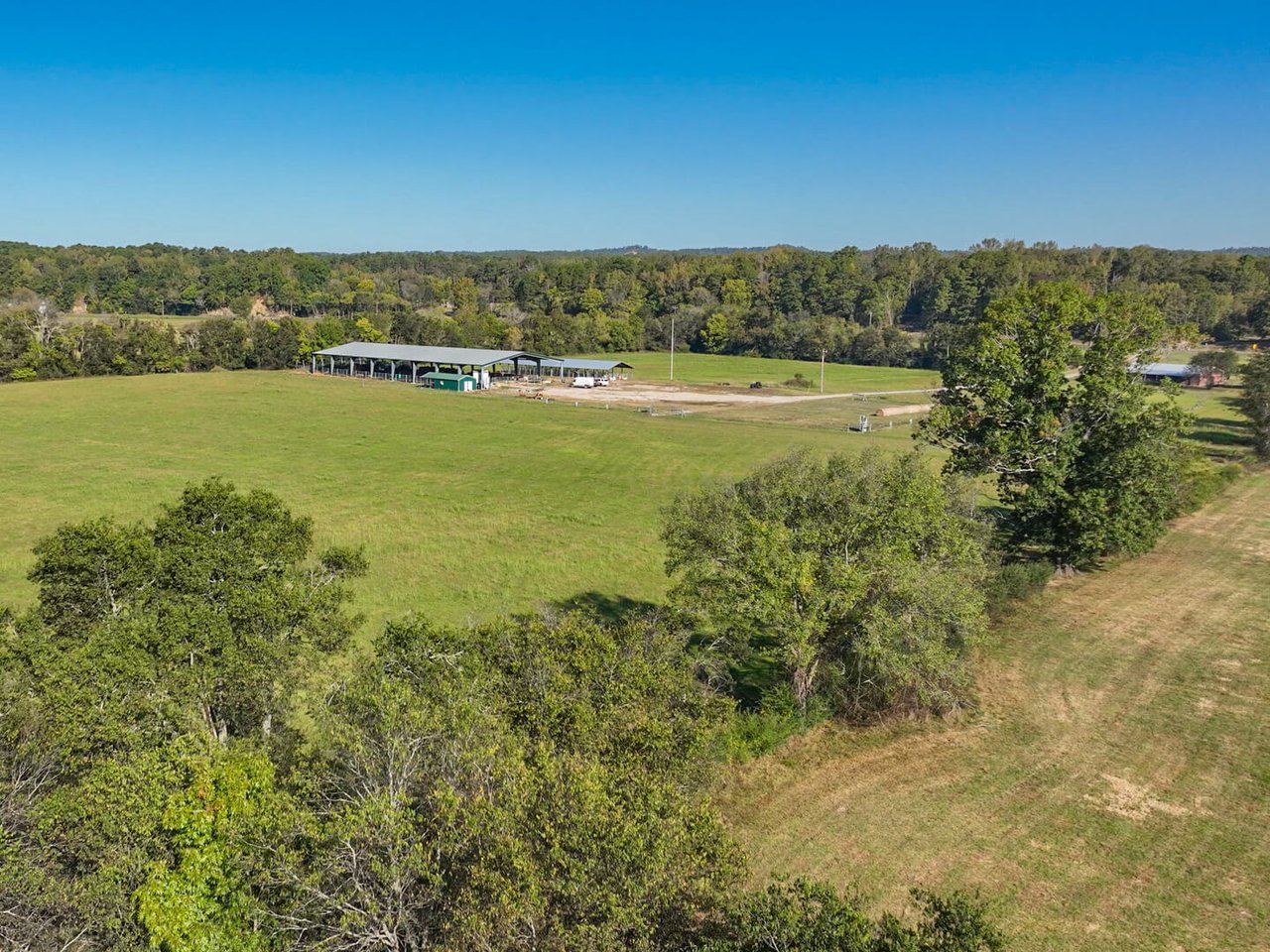 185 Acre Horse and Cattle Ranch
