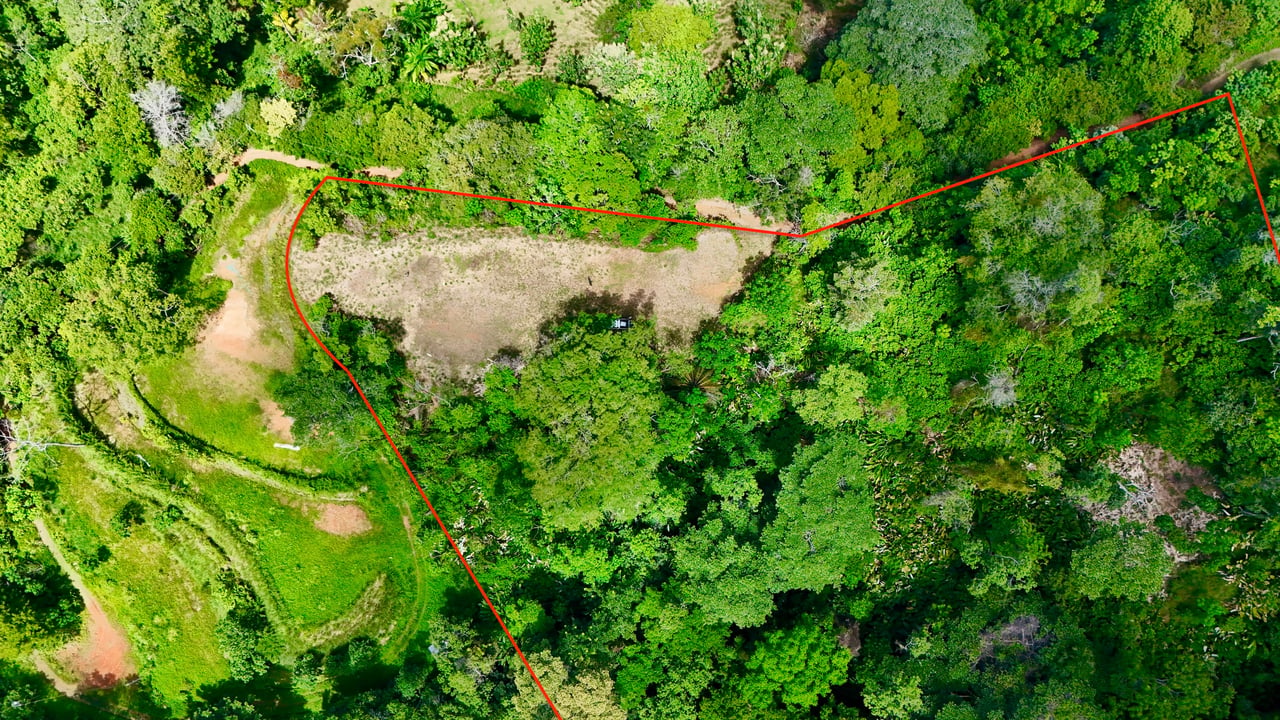 Las Terrazas Dream Estate | Spectacular Ocean & Mountain Views with a Waterfall 
