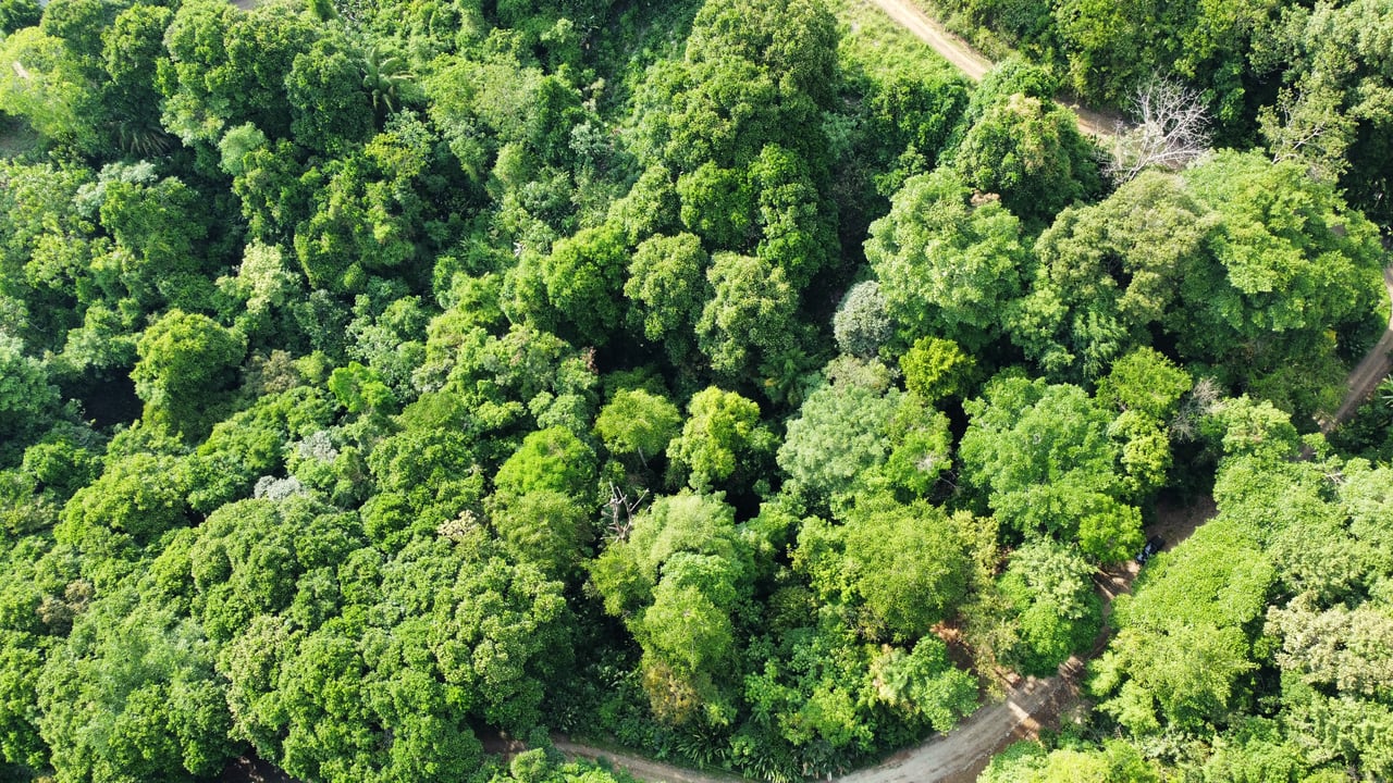 Unique property with terraces and spectacular views near Manuel Antonio National Park