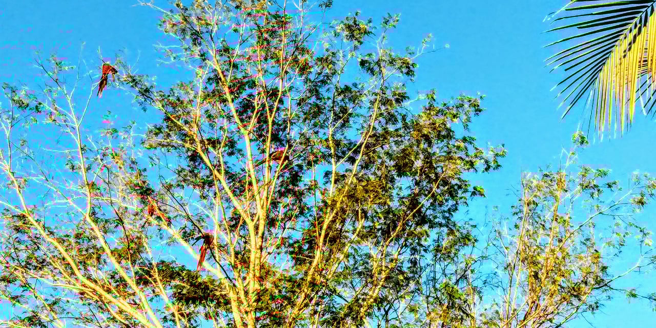 Casa Brisa de La Playa, 2 Bedroom Home Just Steps From the Beach!