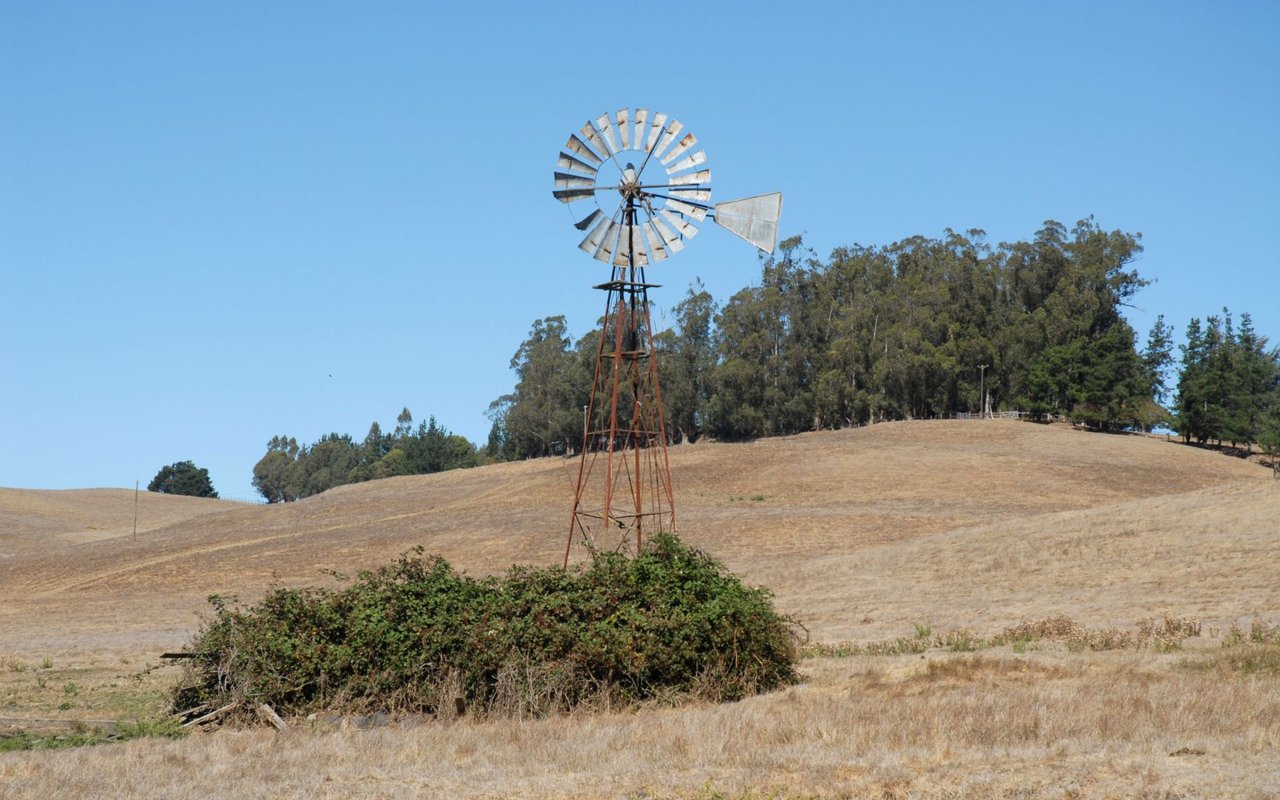 Cotati