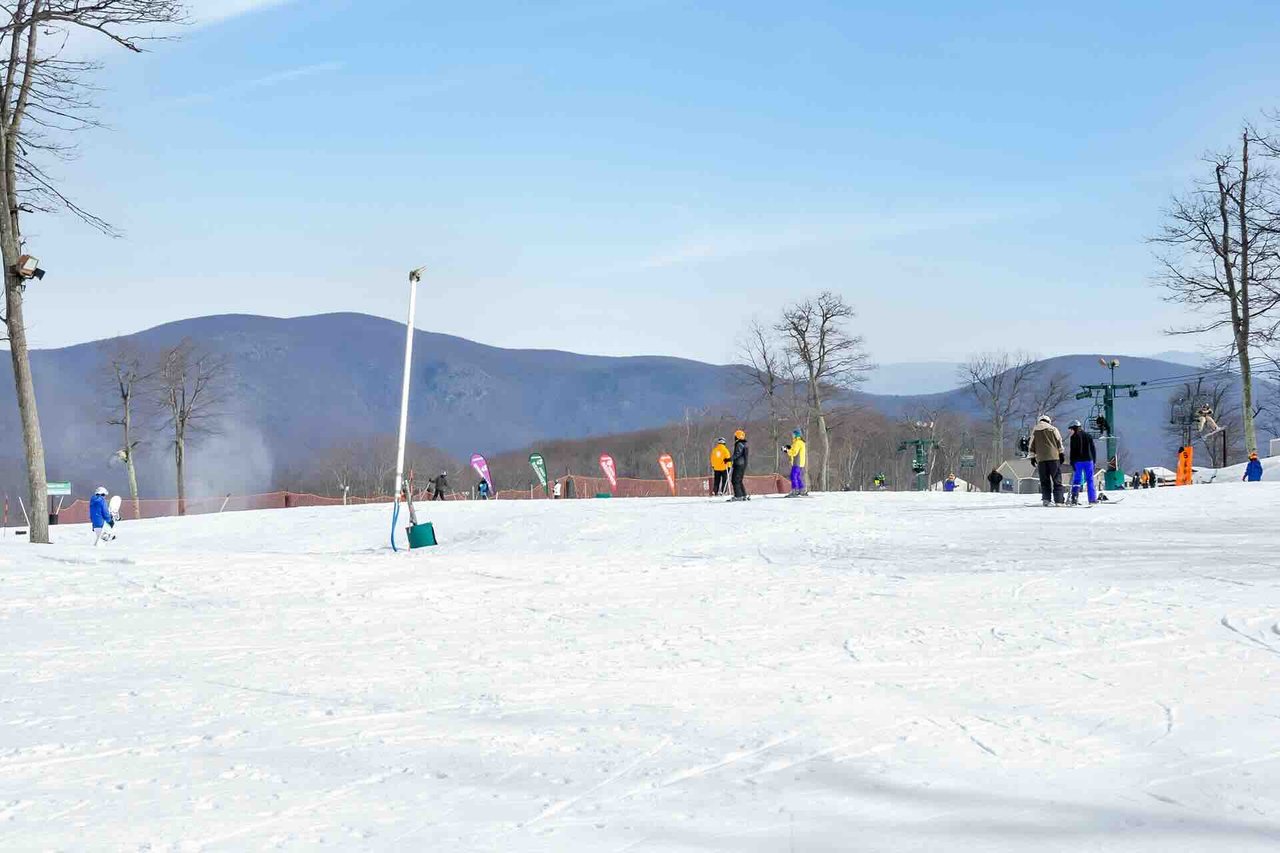 Wintergreen