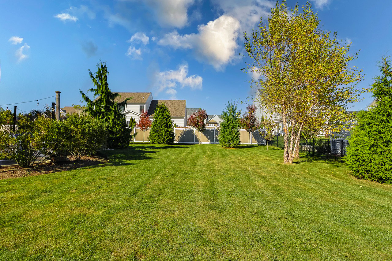 290 Palmetto Drive