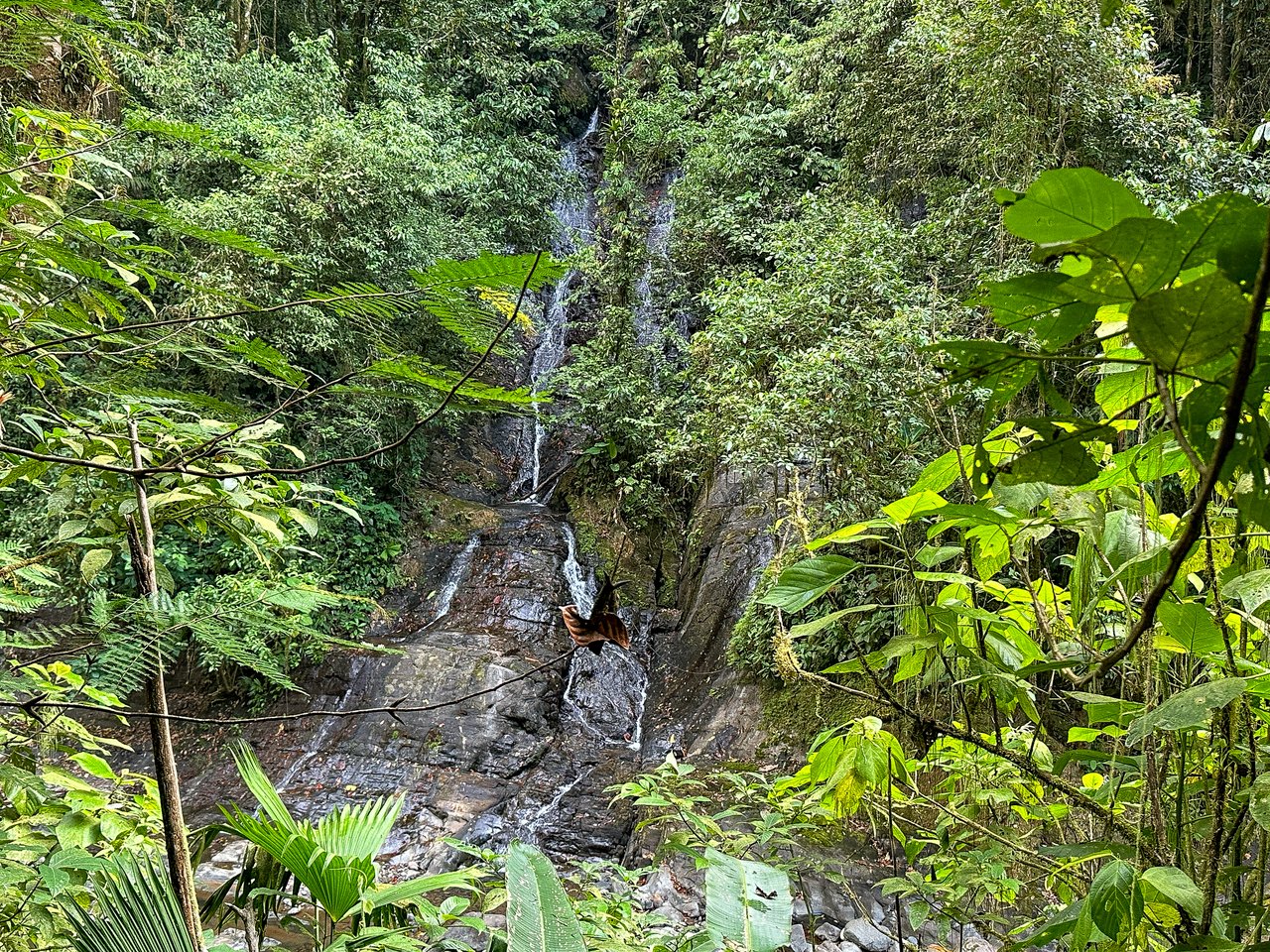 A Huge Rainforest, River & Waterfall Property With TWO Mountain & Jungle-View Luxury Homes on a Massive 4.93 Acre Lot – PLUS an Additional Plantel ready for Development