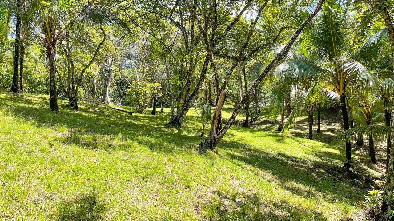 Five Star Private Rainforest Estate on Acreage with Creek