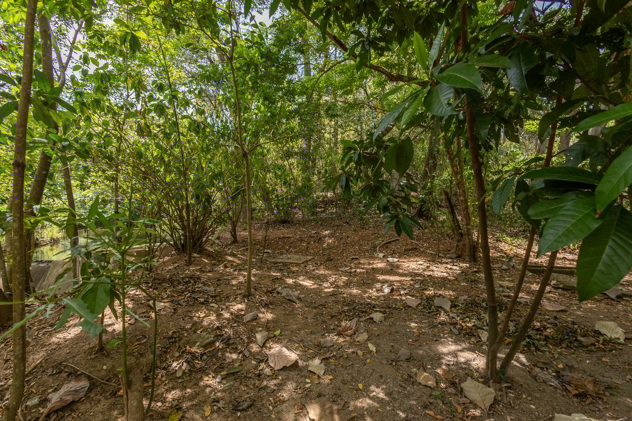 2.27 Acres close to Main Rd, Dixon Cove