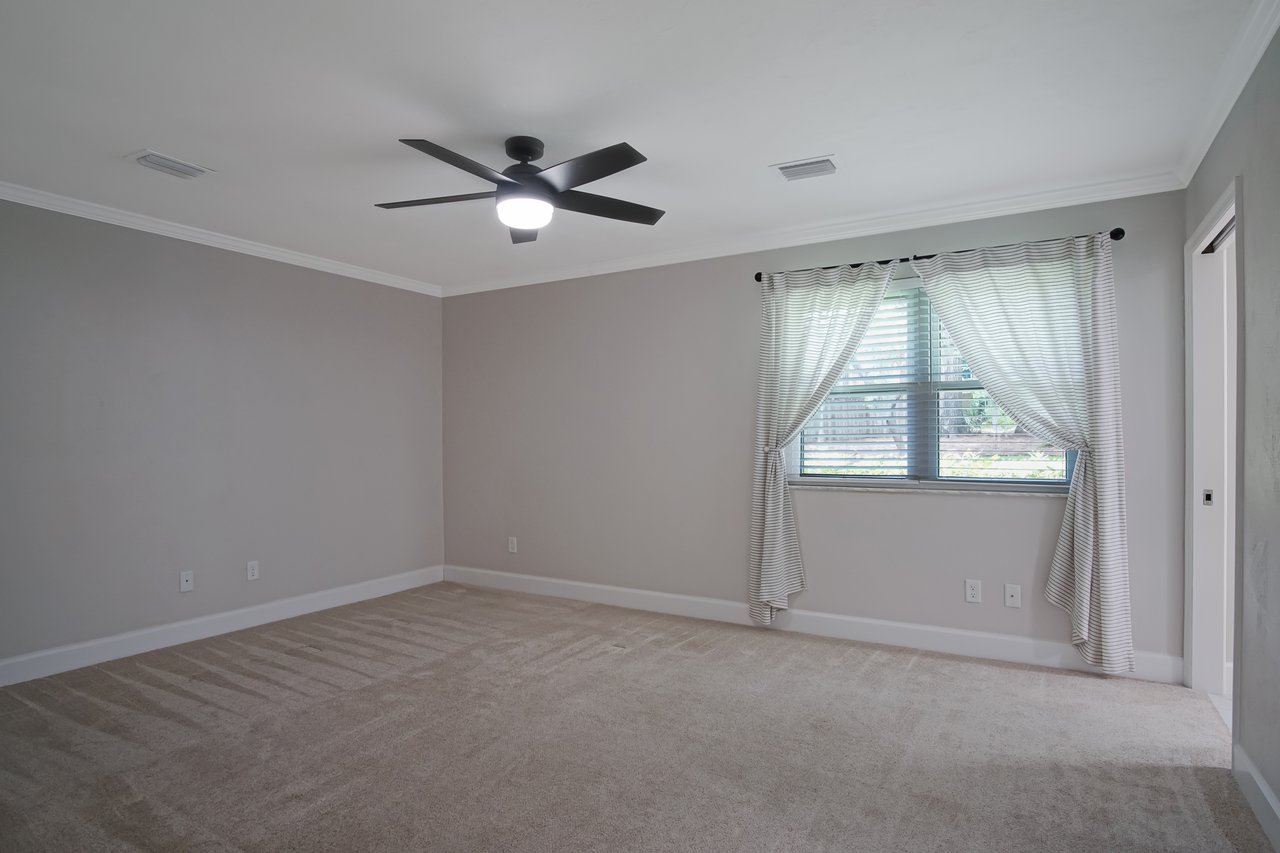 Empty room with beige carpet, gray walls, and white trim. A ceiling fan with light hangs above. Bright window with sheer striped curtains on the right.