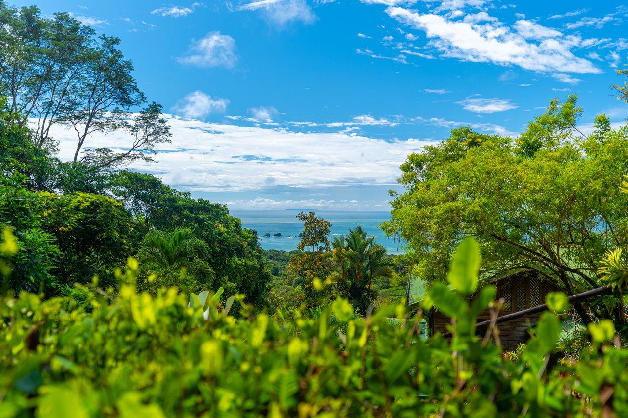 VILLA KRISTINA MARIA - 3.84 ACRES - PERLA DE BALLENA ESTATES