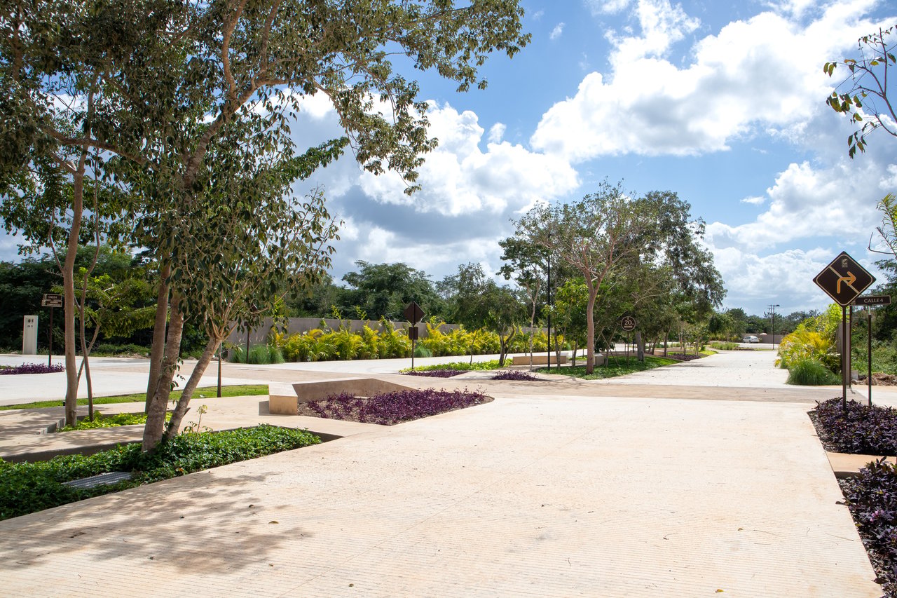 Campo Magno