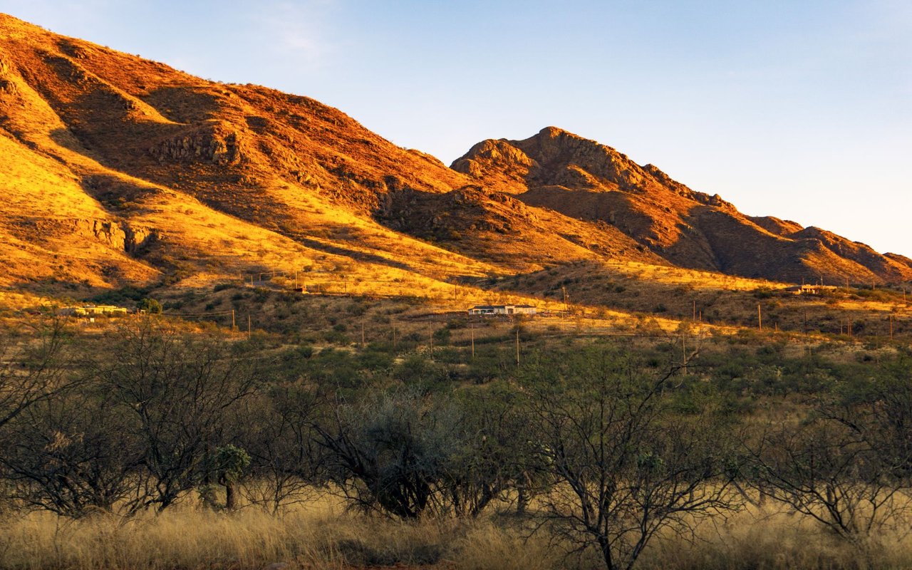 Rio Rico