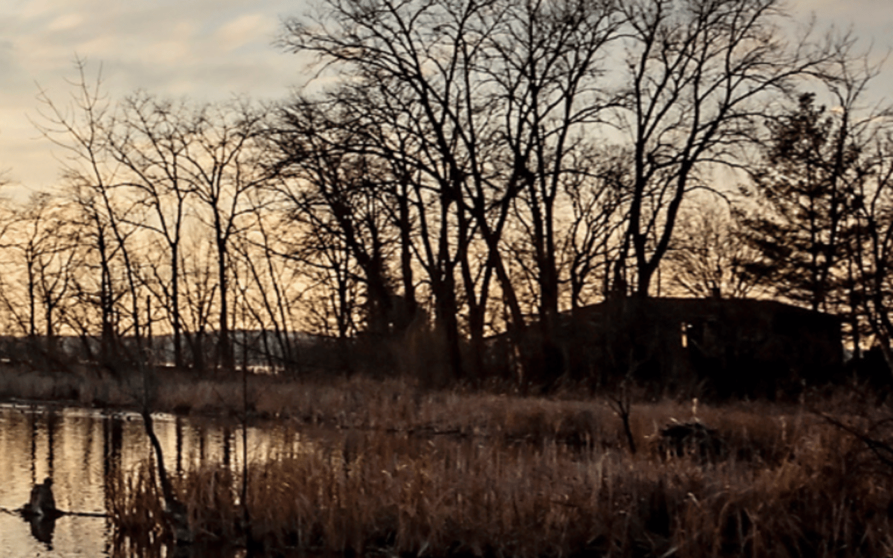 Mcfarland