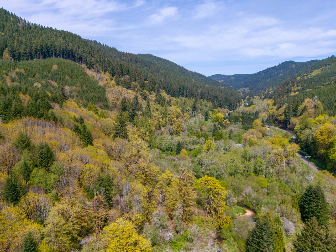 Nelson Mountain Meadows