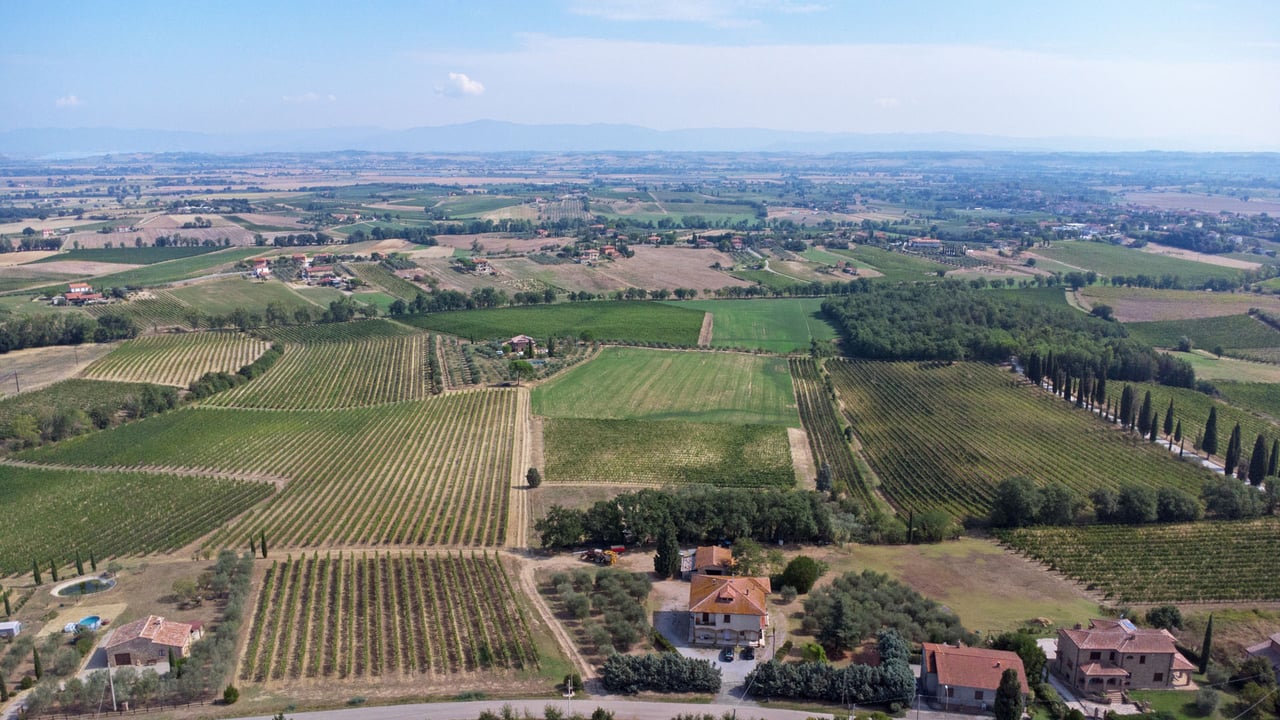 AZIENDA VITIVINICOLA ASCIANELLO