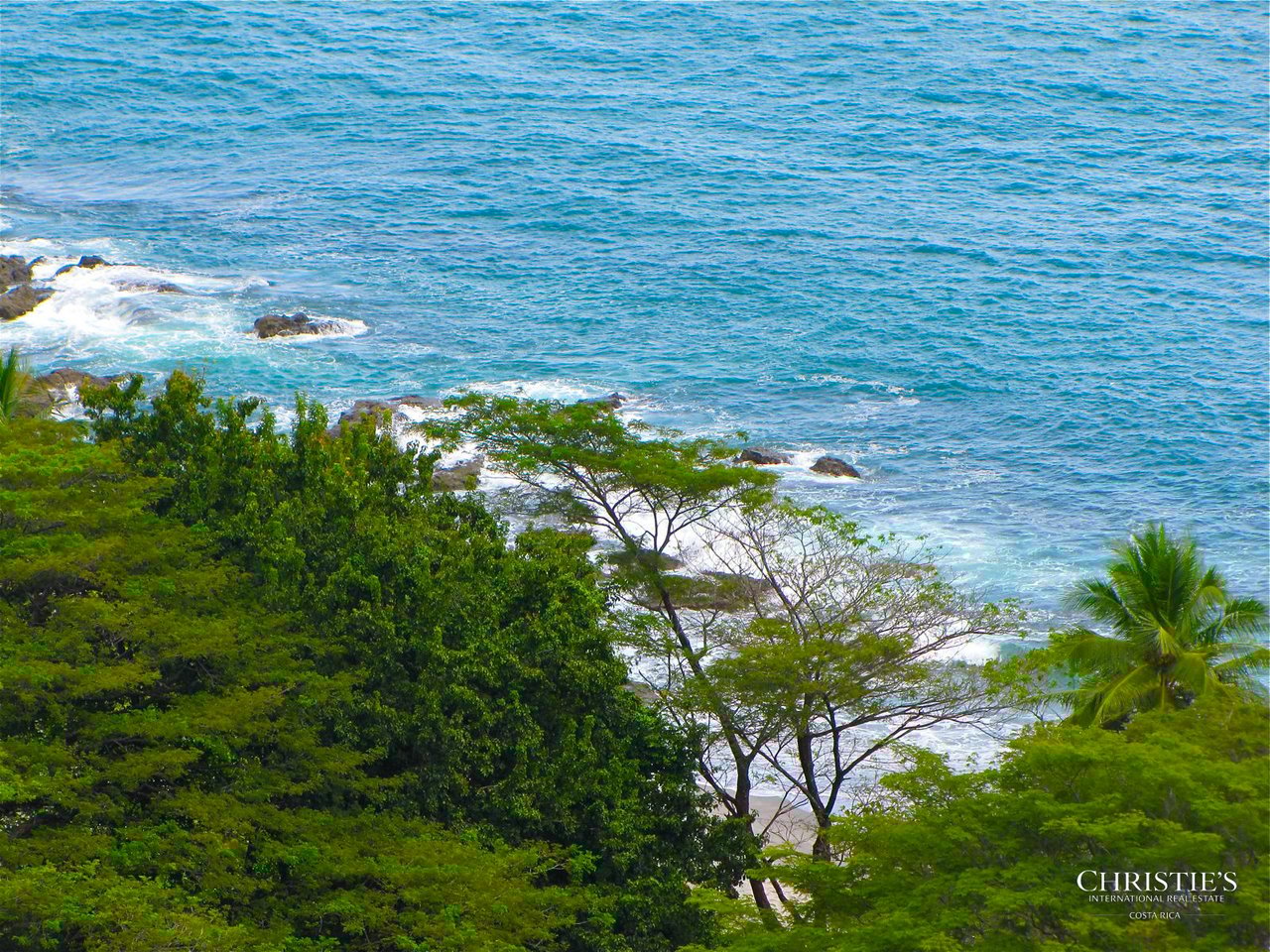 Jungle and Ocean Architectural Masterpiece