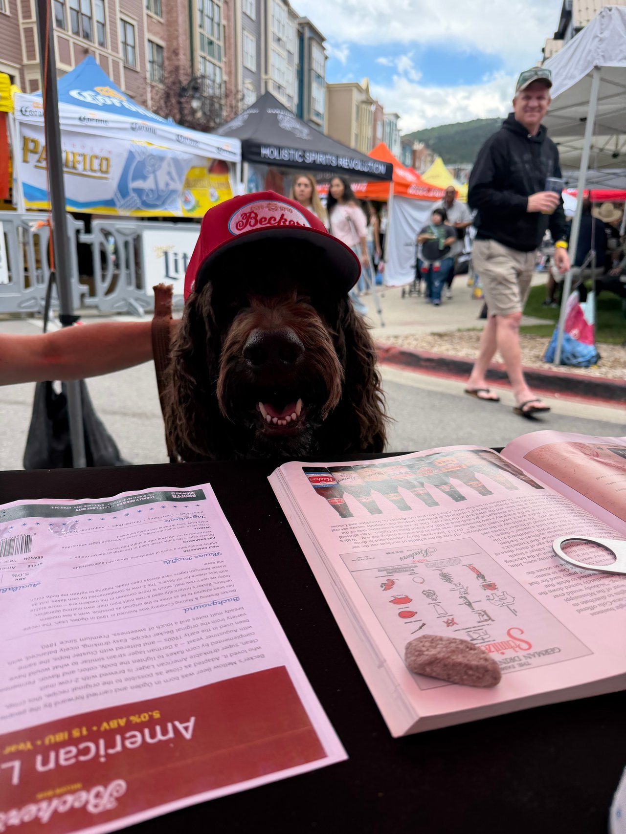 Brown dog in a red cap at an outdoor street market, with vendor tents and newspapers on a table.