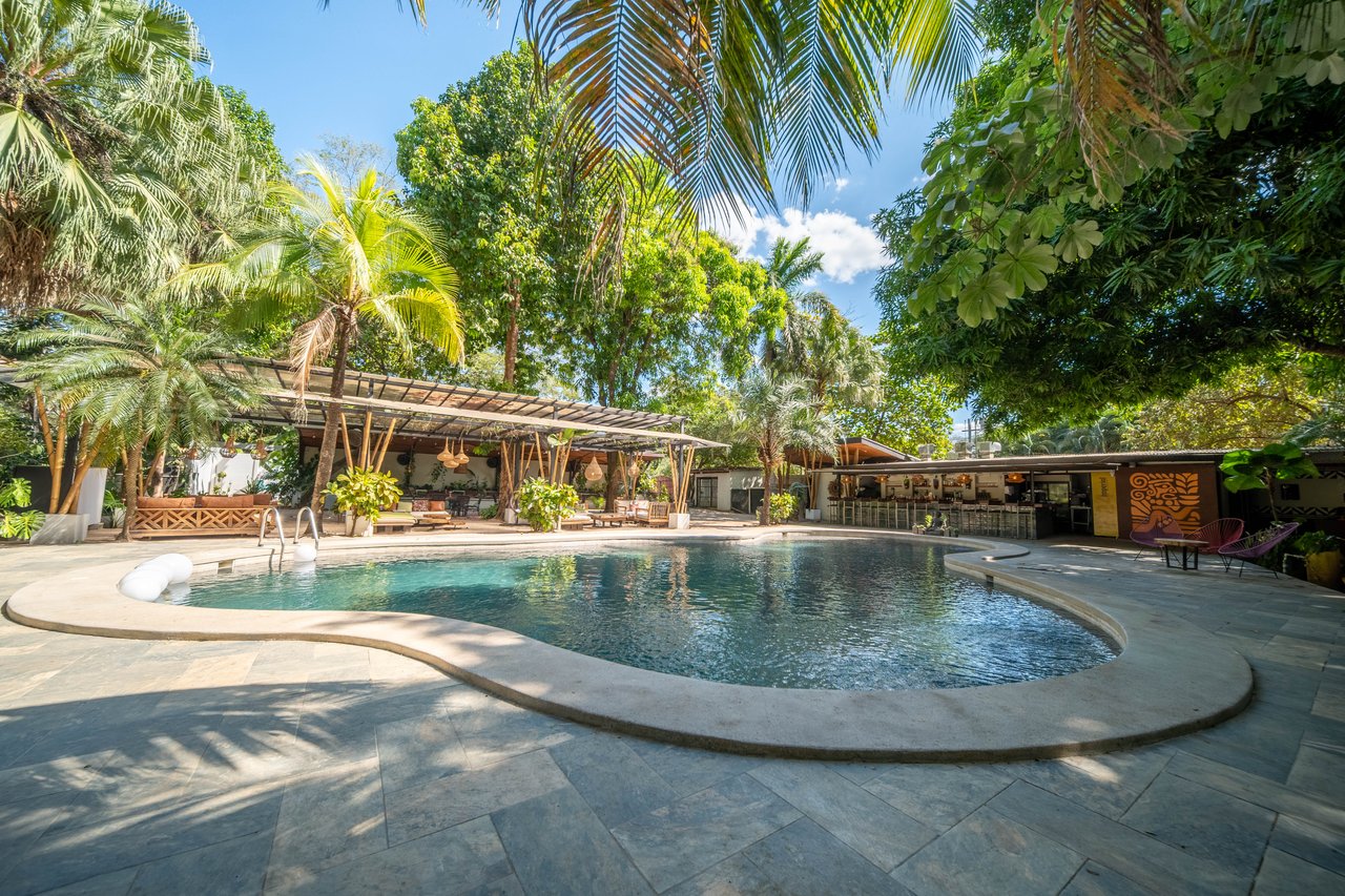 Hotel Curiol | Turnkey Boutique Jungle Hotel with Restaurant & Bar in Potrero