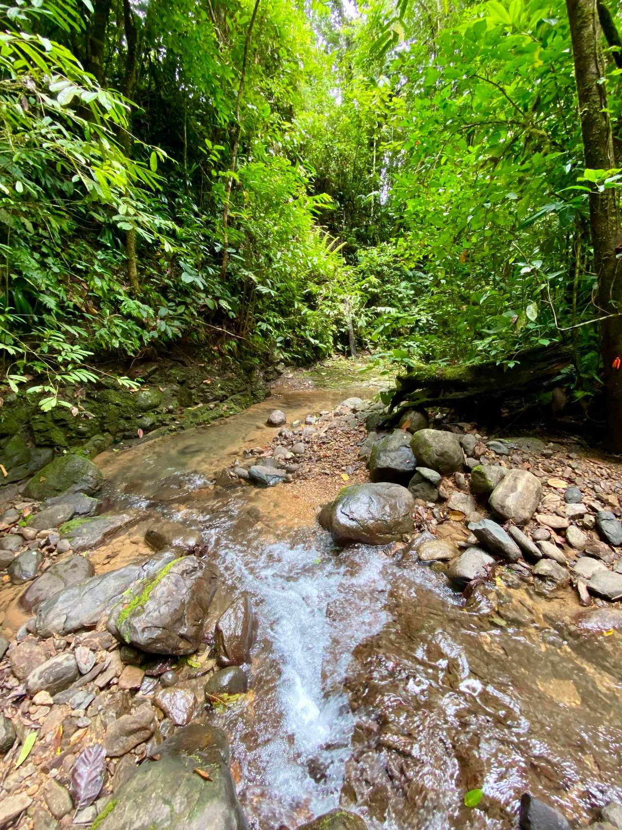 Spectacular 70 Acre Multiple Waterfall Property with Dramatic Views Near Ojochal