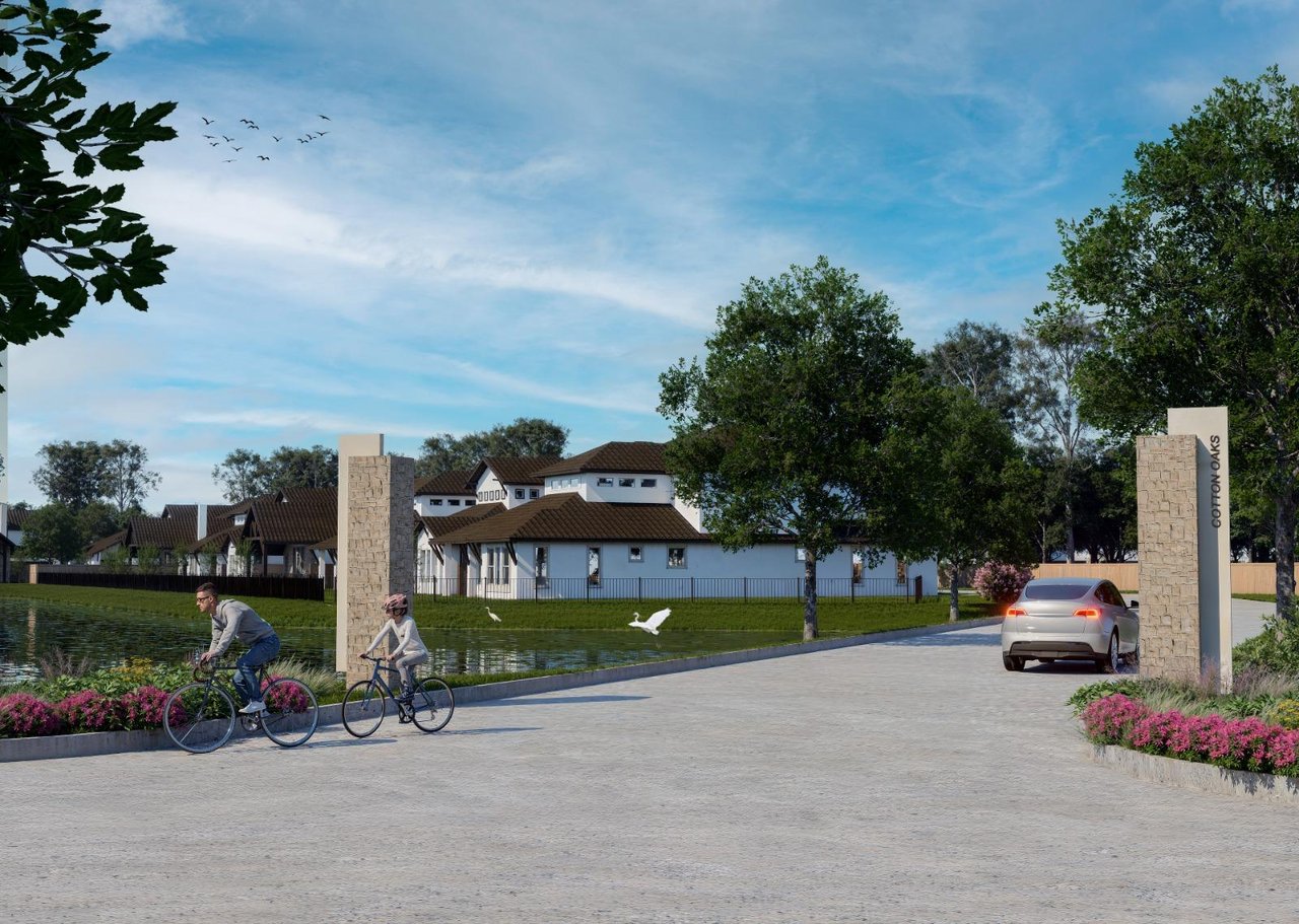 Cotton Oaks