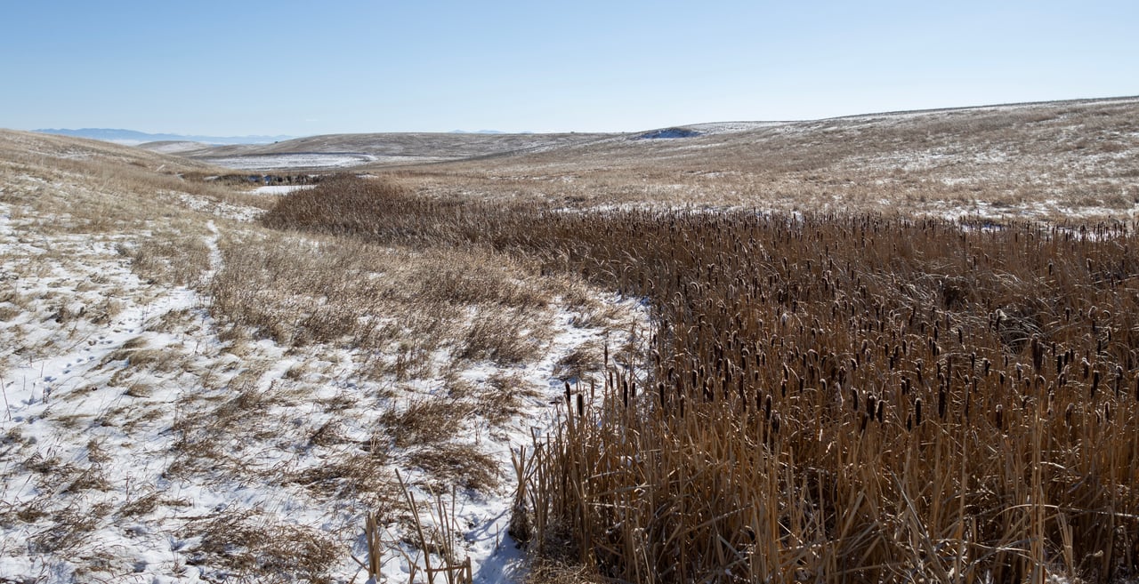 Upland Edge