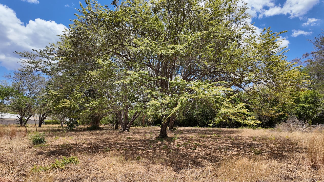 5,170 m2 Homesite - Catalina Cove 22 - Brasilito