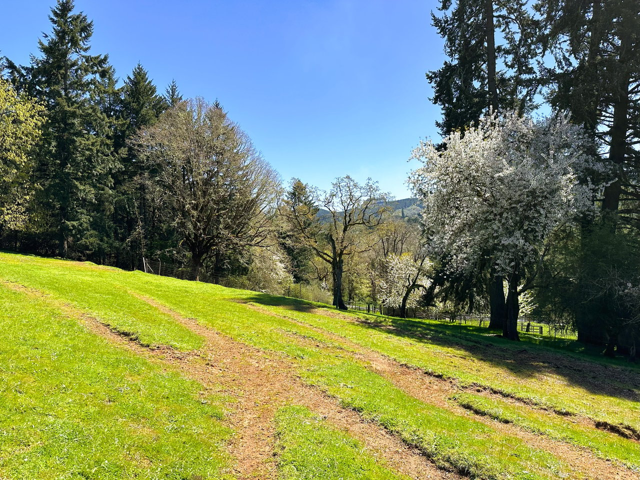 Panther Creek Homestead