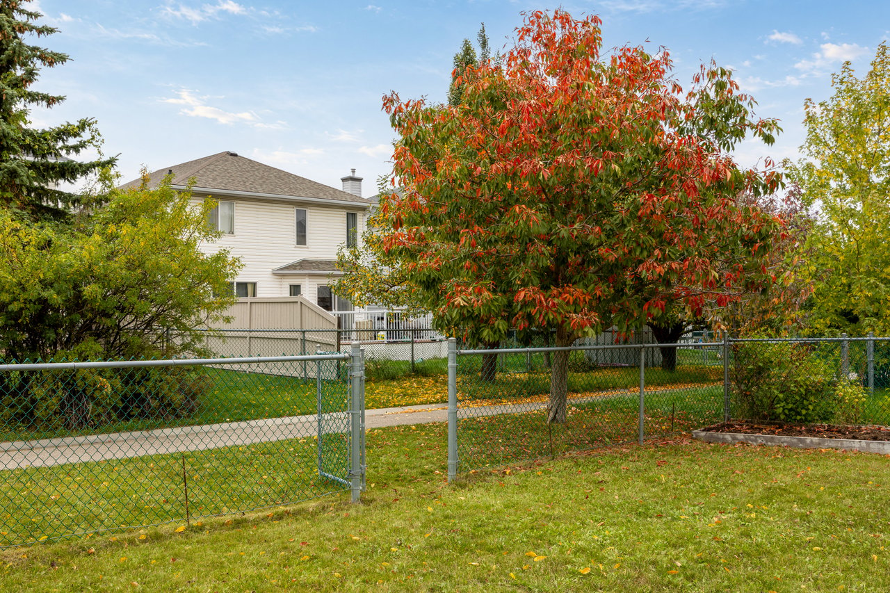 White two-story house behind a fenced backyard, partly obscured by a large red-leaved tree.
