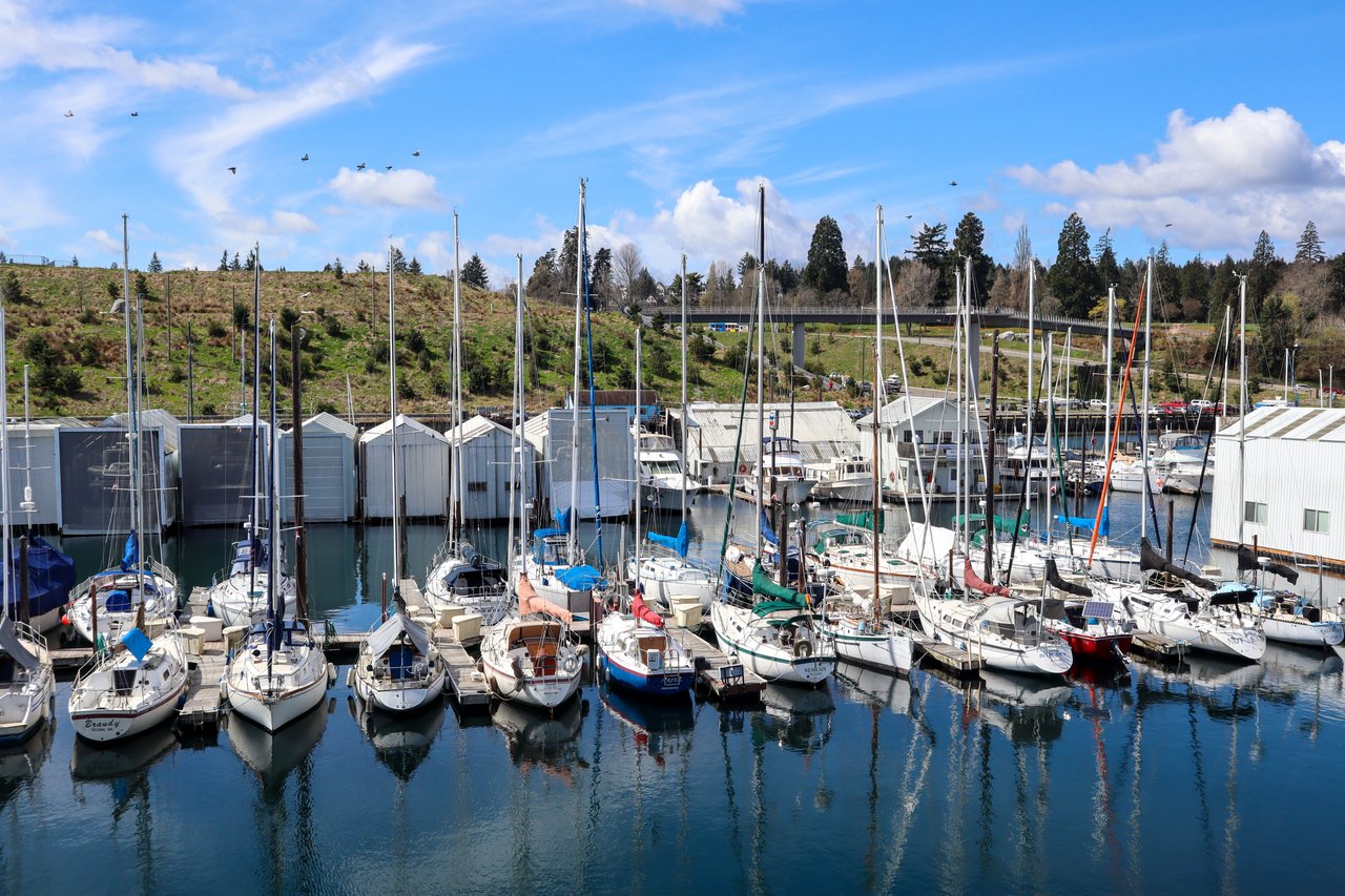 Marine Heights