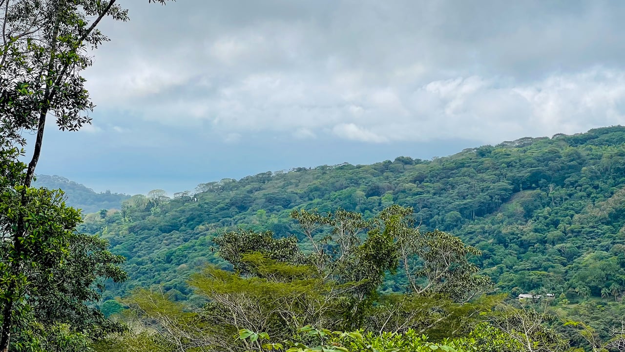 Jungle Canopy Retreat with Ocean, Cano Island & Mountain Views Near Dominical