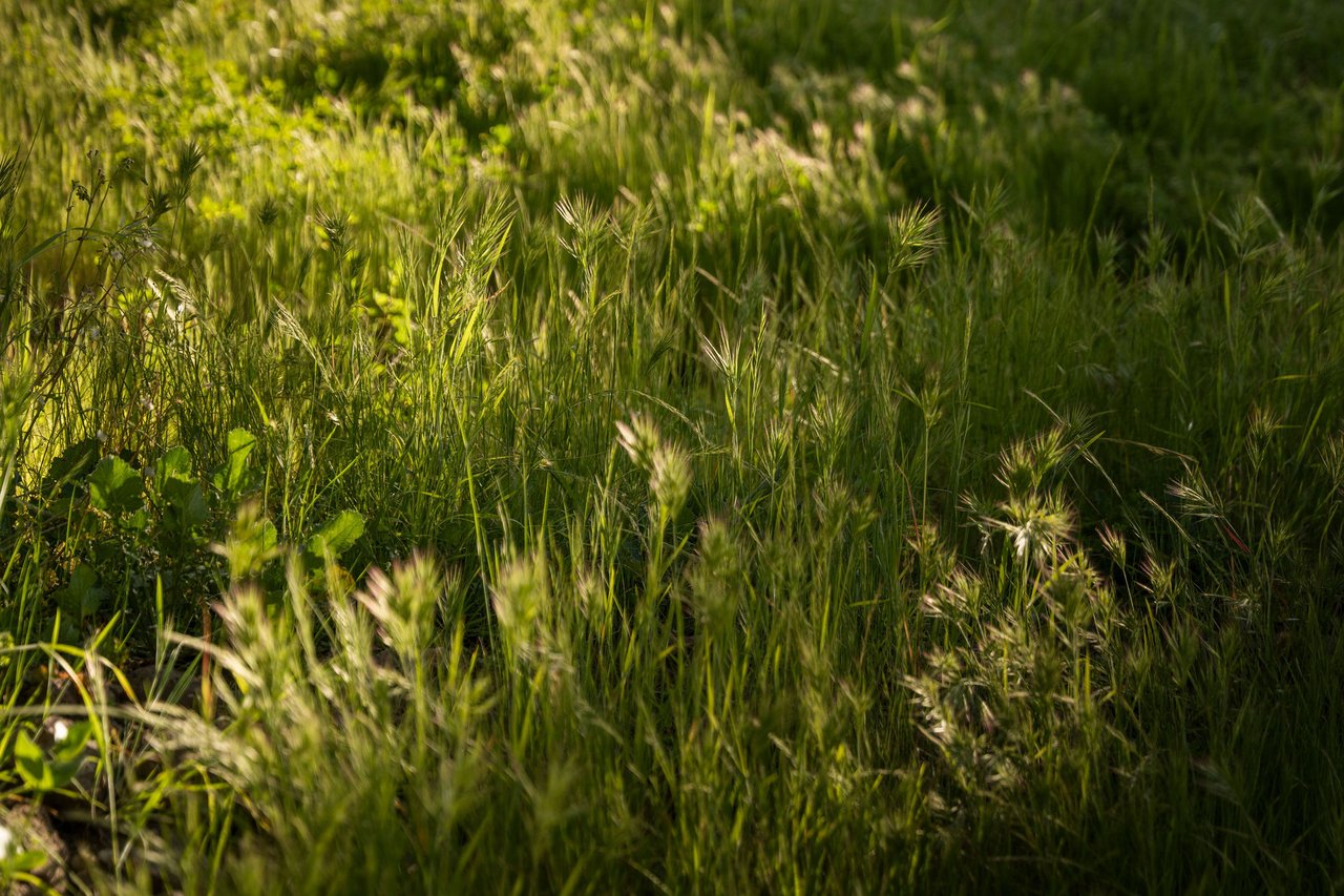 31730 Saddletree Drive, Westlake Village, CA, 91361