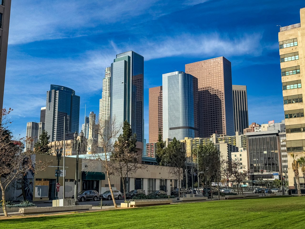 Downtown Los Angeles skyline beyond a green lawn, with glass towers and leafless trees.