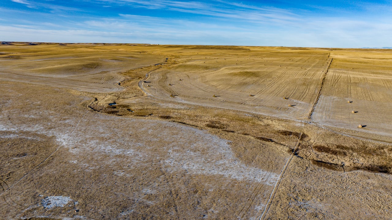 Blood Coulee Ranch