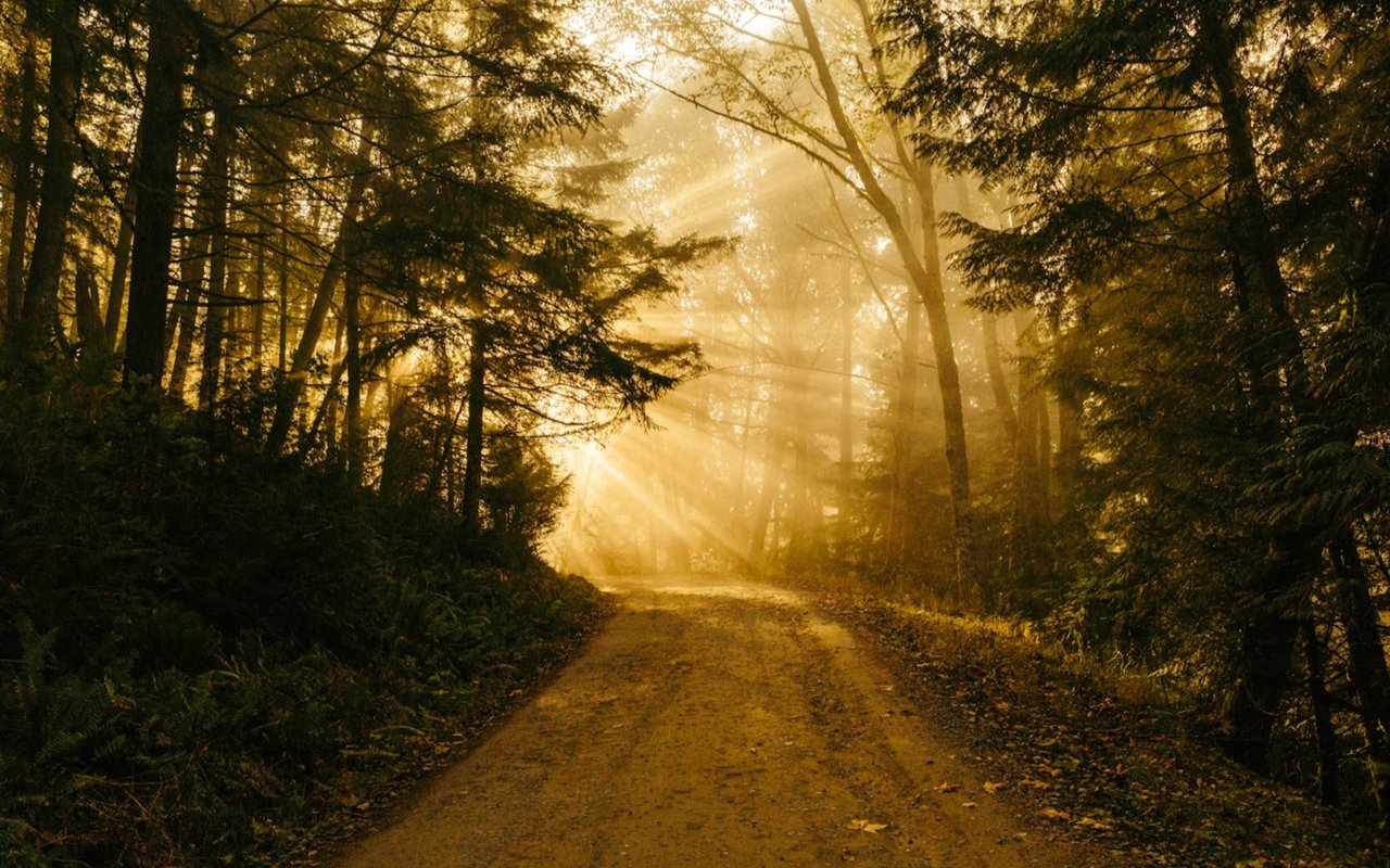 New Resident’s Checklist: Where to Live in The Woodlands