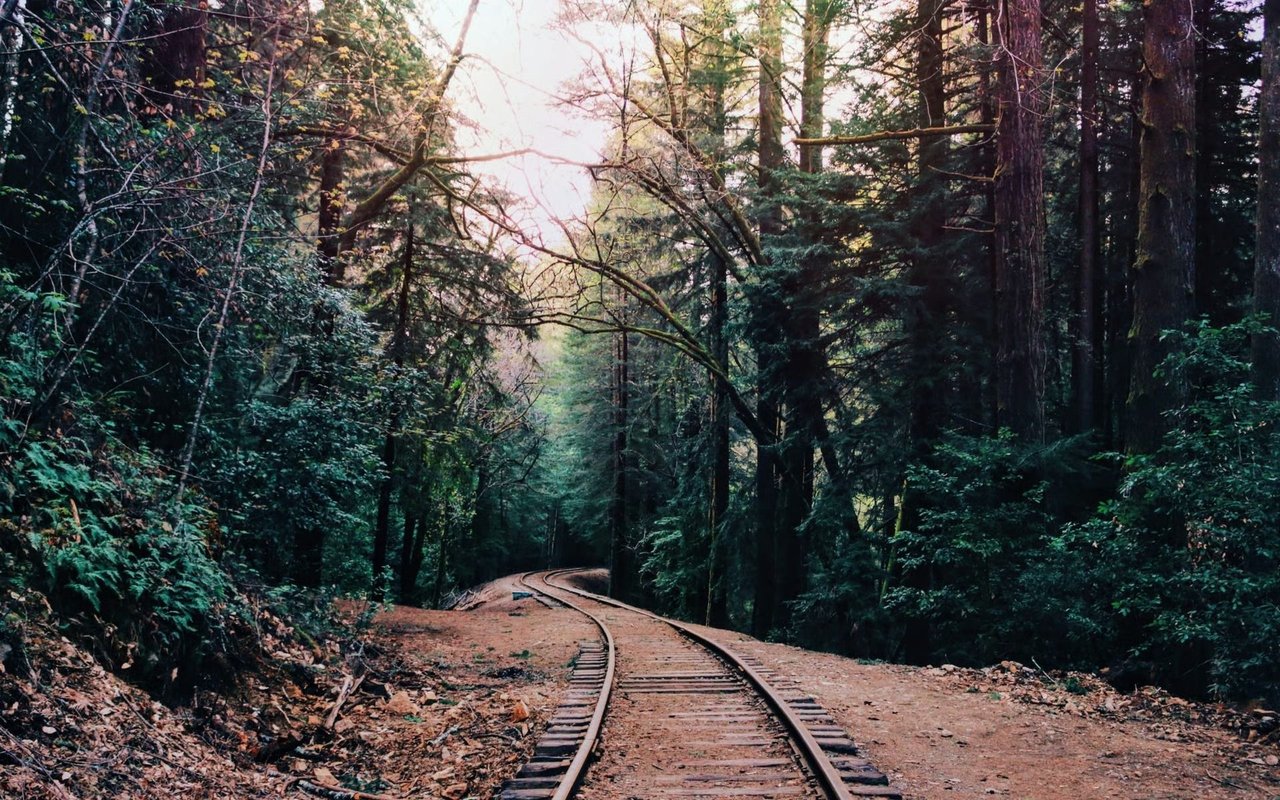 Santa Cruz Mountains