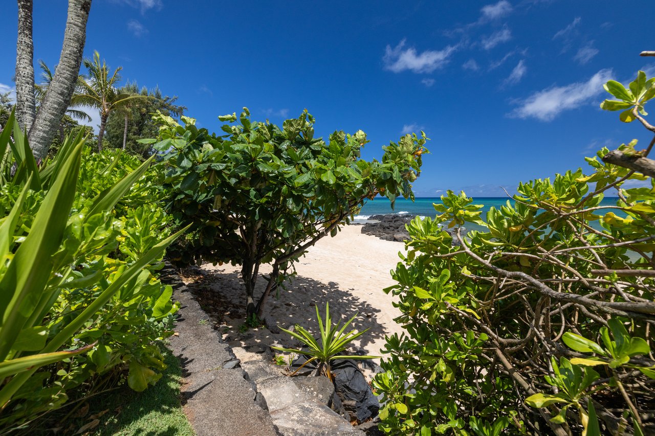 Chun's Reef Estate