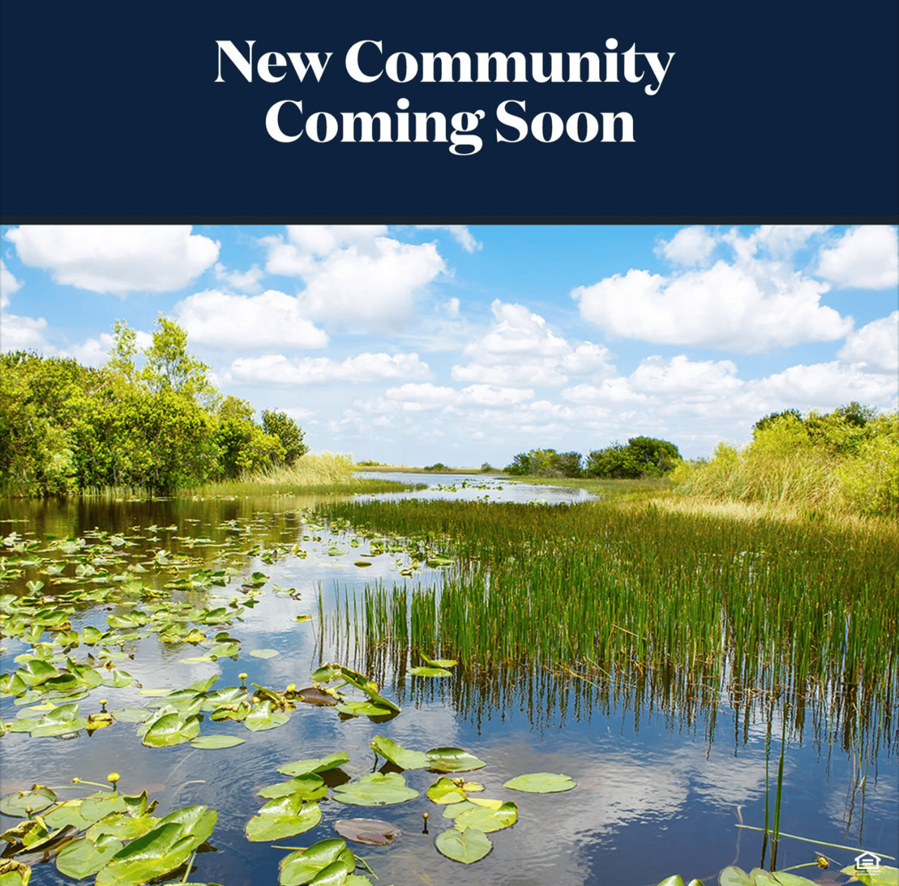 Saltgrass at Heron Bay