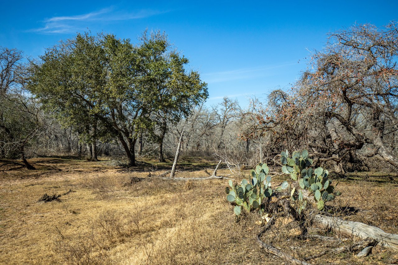 Whispering Pines Floresville Ranch | 298± Acres | Wilson County