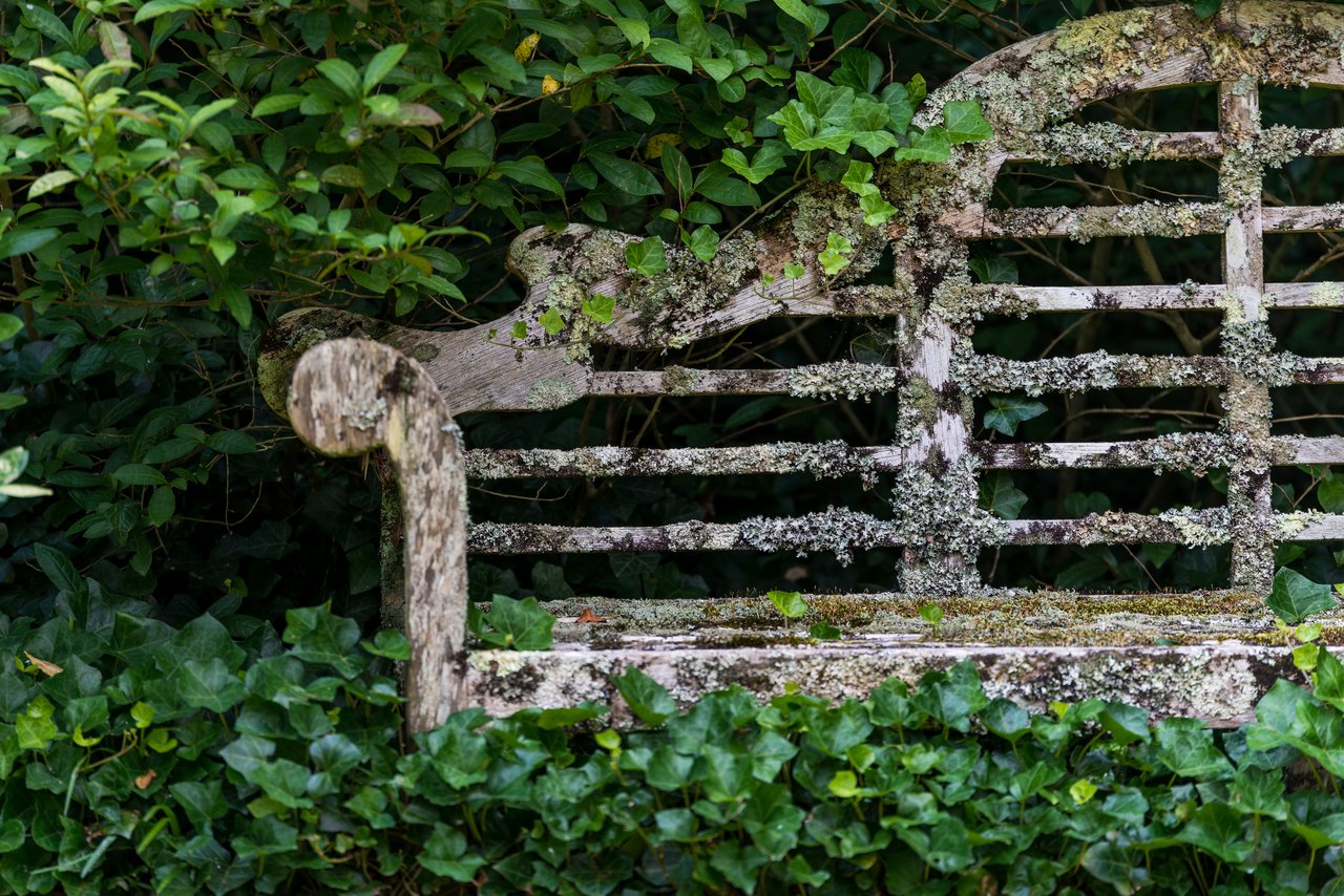 Why Choosing a Local Marietta & East Cobb Realtor® Matters More Than Ever