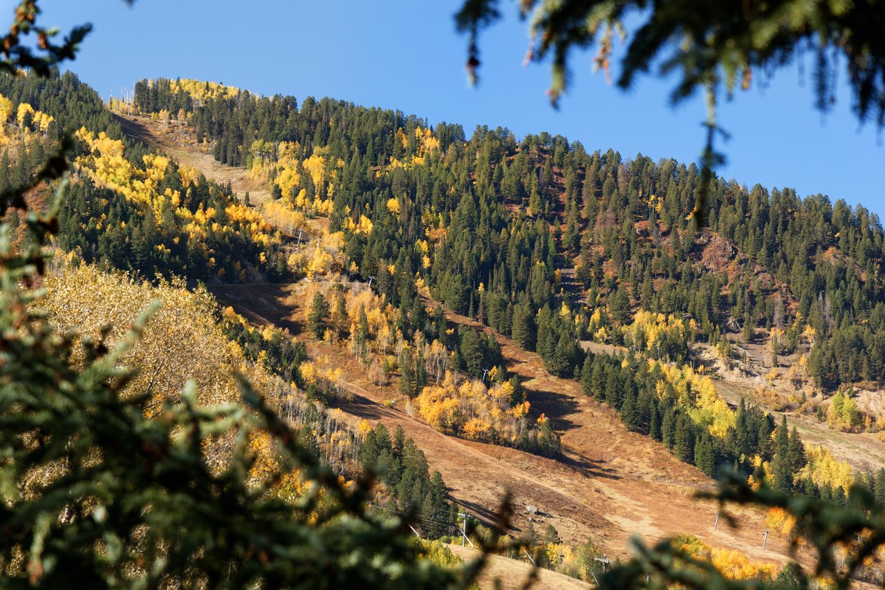 Conveniently Located Midland Ave Home