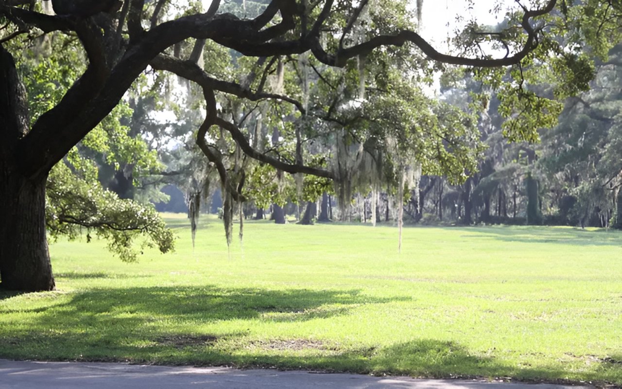 For the Love of Charleston #2