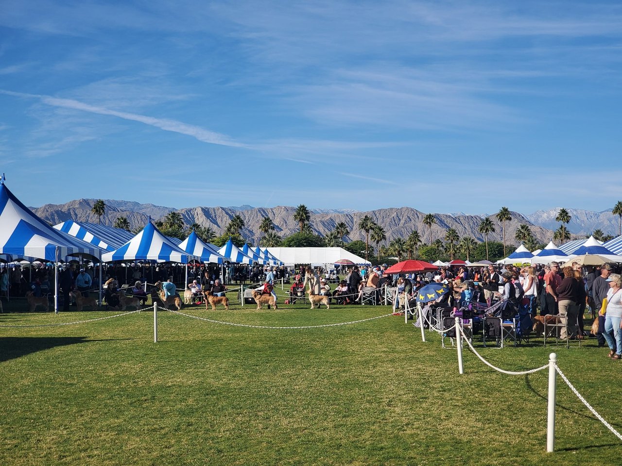 Kennel Club of Palm Springs Dog Show 2025 Empire Polo Grounds