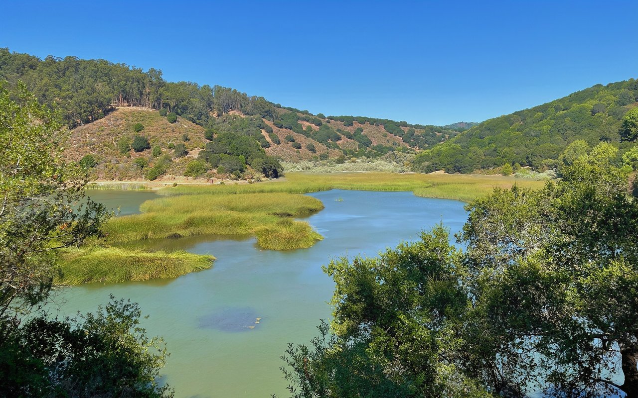 Castro Valley