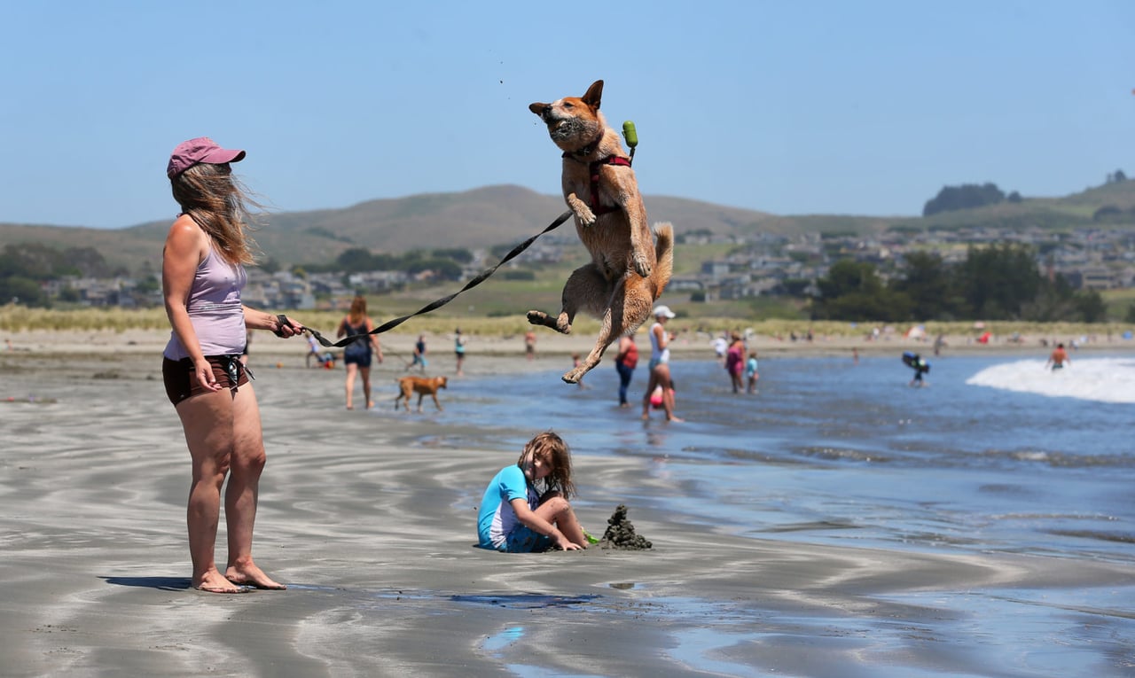10 Cool Things To Do in Sonoma County When It’s Too Hot