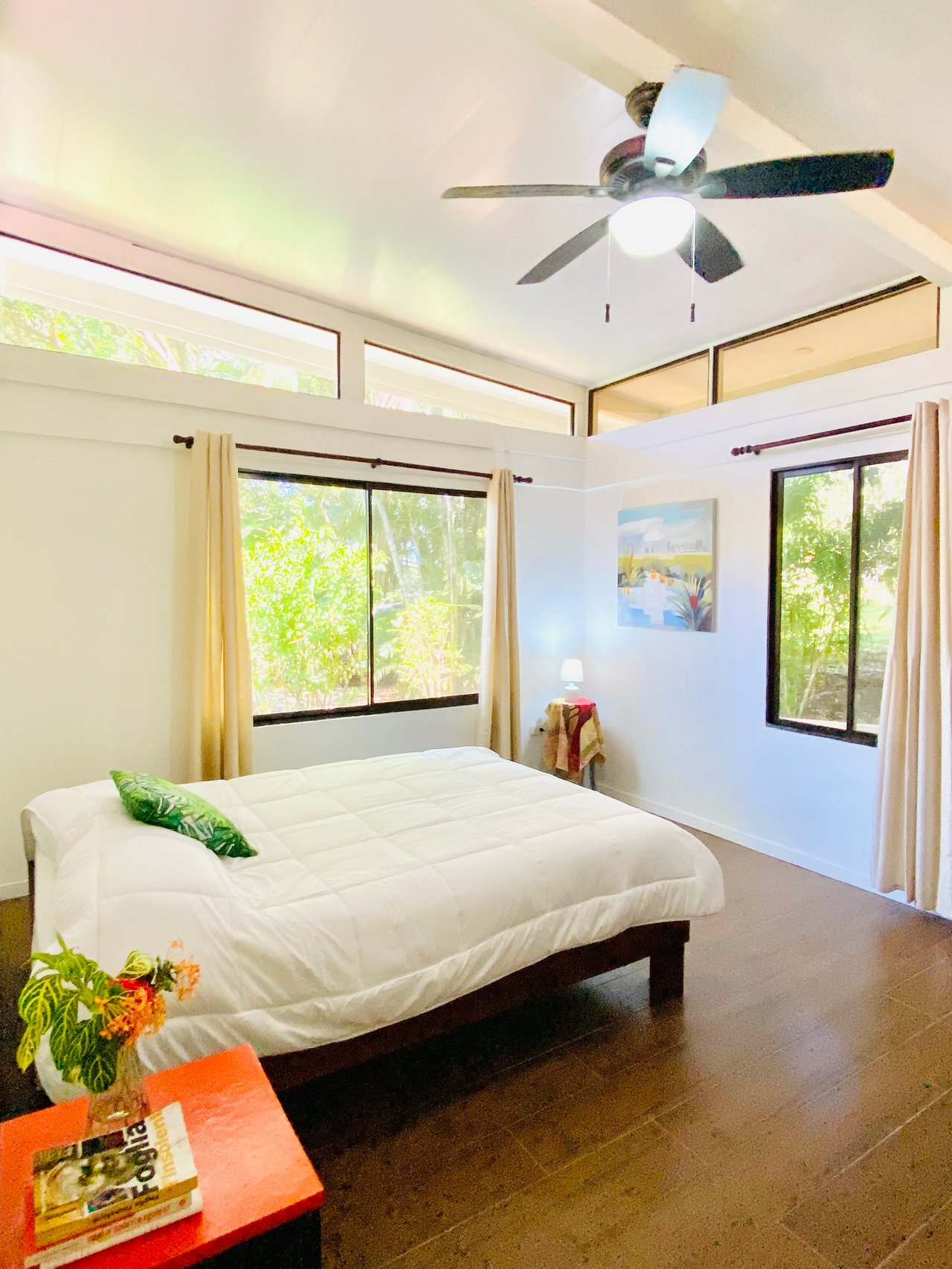 2 Homes in Ojochal Live and Earn in Paradise