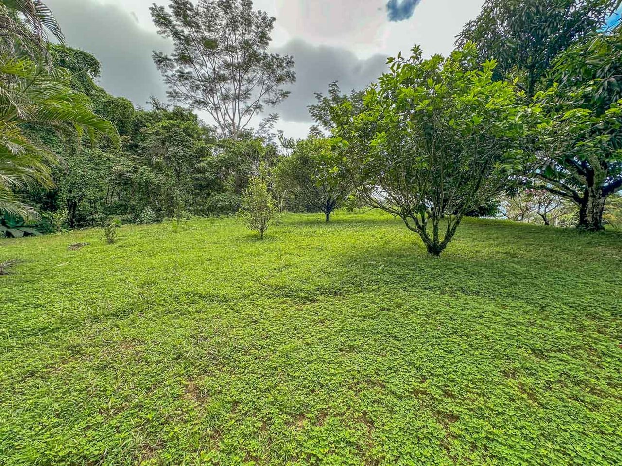 Ocean, jungle & mountain views on a meticulously landscaped 3-home family compound