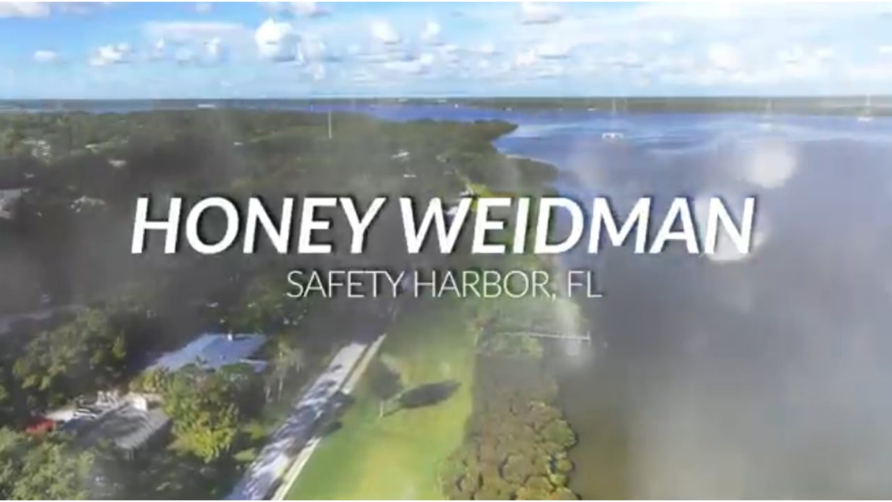 The mainstreet on the bay - Safety Harbor, Tampa Florida