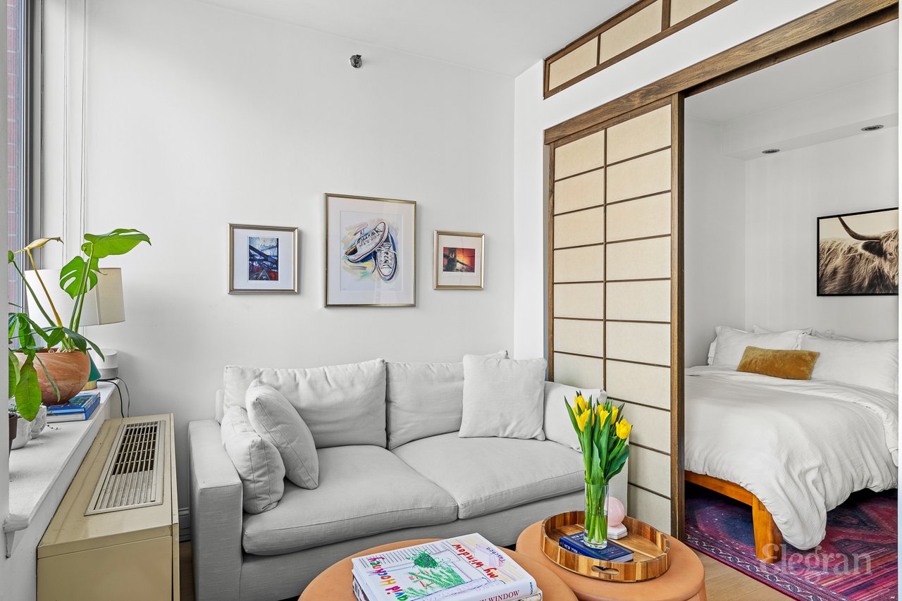 520 West 23rd Street, 11D