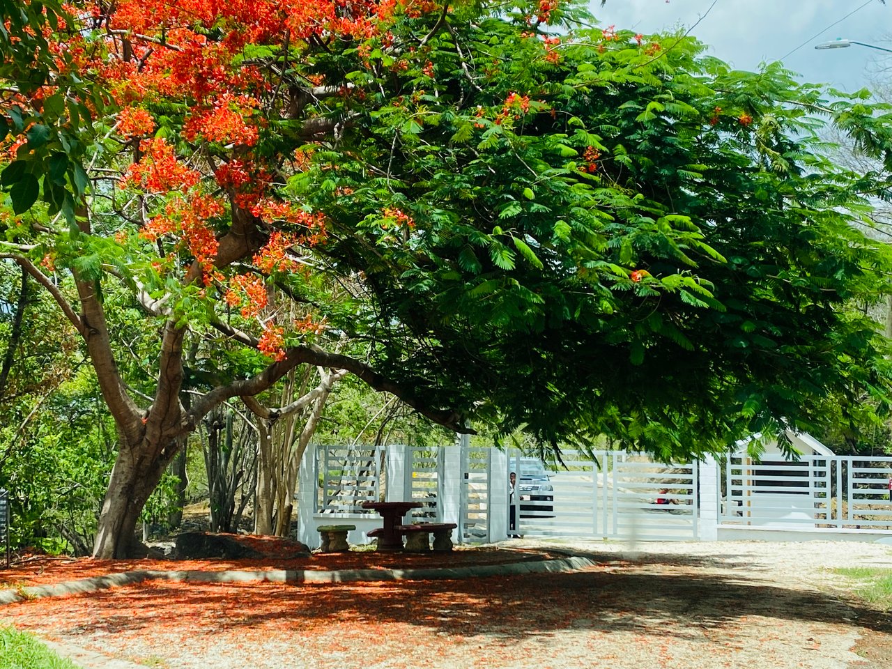 Valle Escondido Development | New Gated Community Near Tamarindo Beach