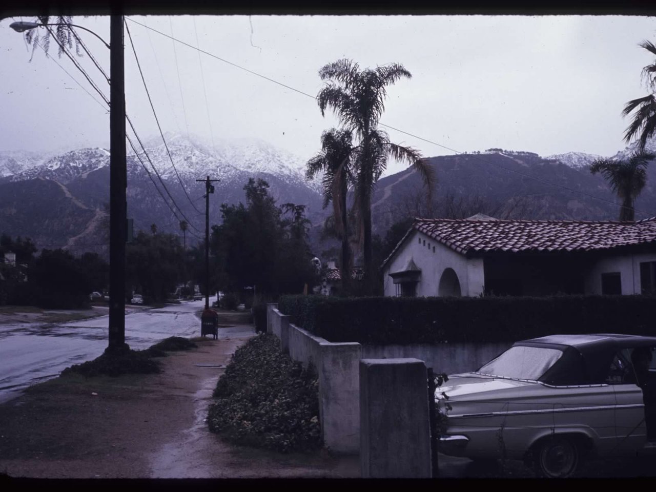 :: The Bower House, 1933 :: 